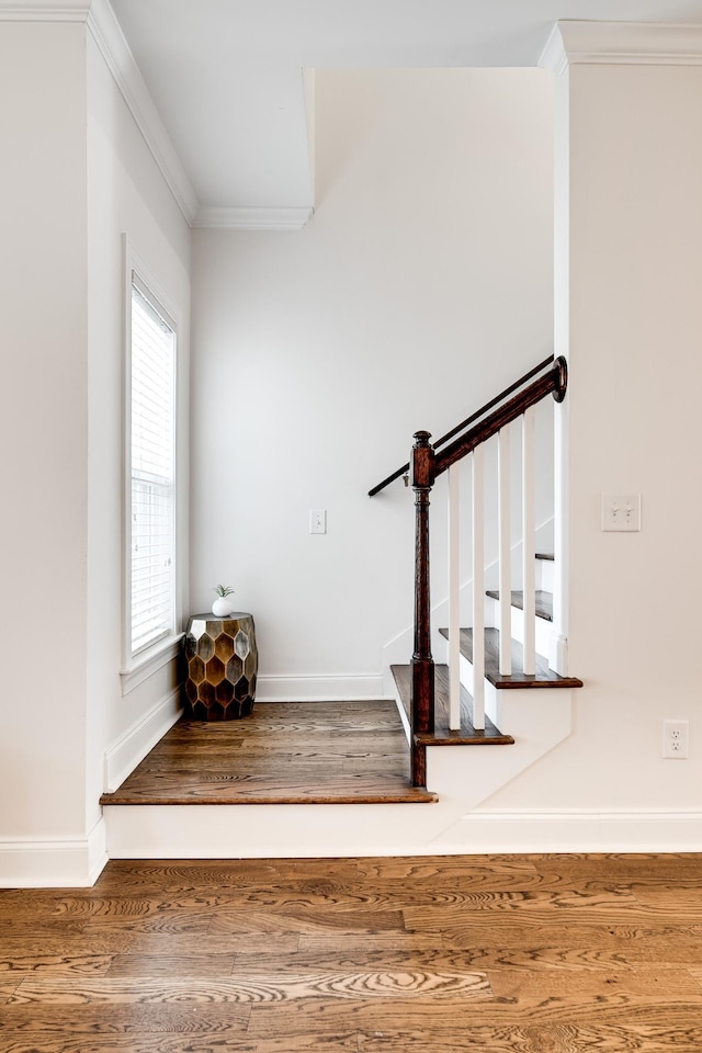 4325 Ashland City Hwy Unit 4, Nashville, TN 37218 - photo 17