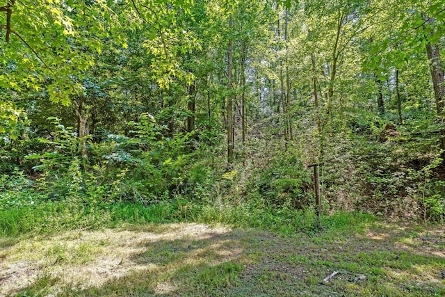 2727 Old Tilton Rd, Dalton, GA 30721 - view of woods