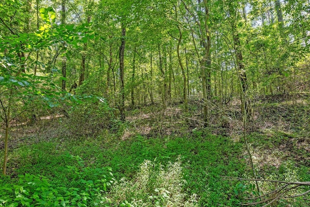 2727 Old Tilton Rd, Dalton, GA 30721 - view of woods