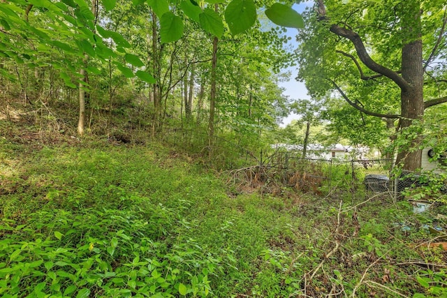 2727 Old Tilton Rd, Dalton, GA 30721 - view of nature