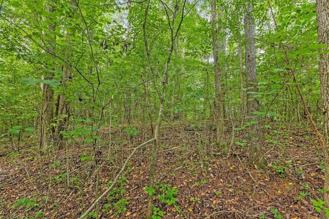2727 Old Tilton Rd, Dalton, GA 30721 - view of wooded area