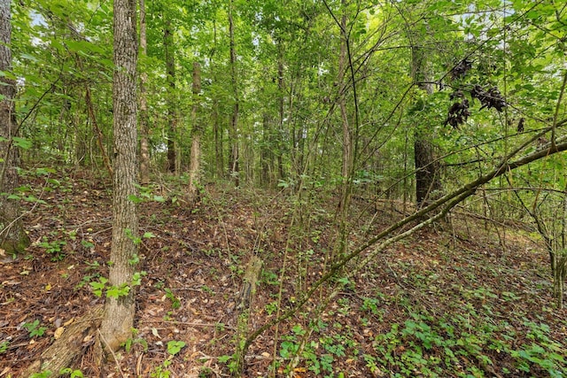 2727 Old Tilton Rd, Dalton, GA 30721 - view of tree filled area