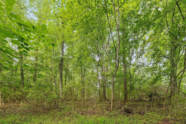 2727 Old Tilton Rd, Dalton, GA 30721 - view of woods