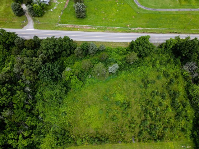 3303 Murfreesboro Rd, Lebanon, TN 37090 - photo 7