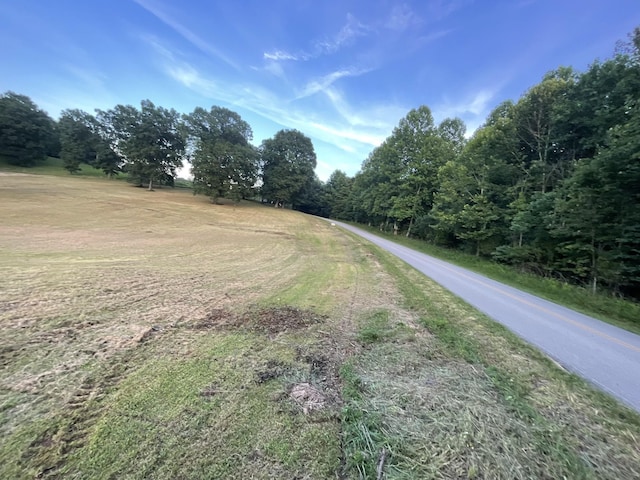 0 Hog Back Ridge Rd, Bethpage, TN 37022 - photo 7