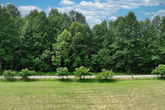 0 Hog Back Ridge Rd, Bethpage, TN 37022 - photo 20