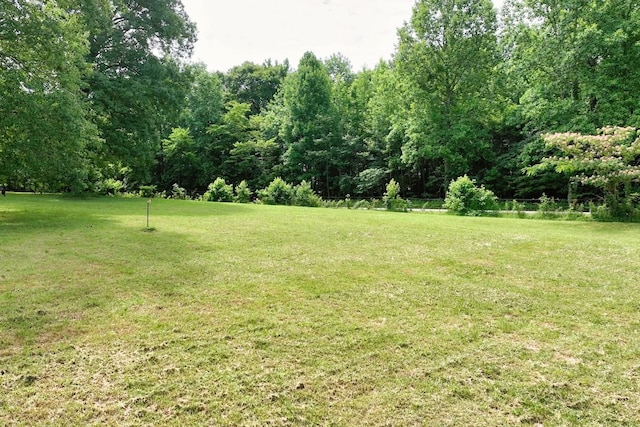 0 Hog Back Ridge Rd, Bethpage, TN 37022 - photo 10