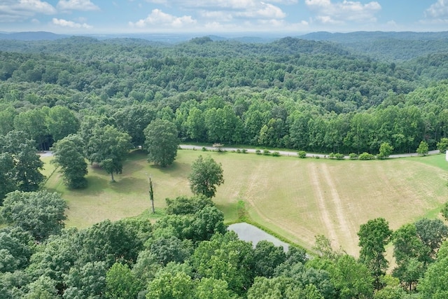 0 Hog Back Ridge Rd, Bethpage, TN 37022 - photo 18