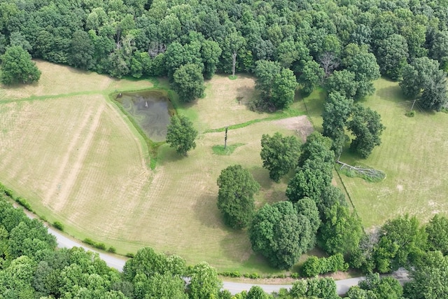 0 Hog Back Ridge Rd, Bethpage, TN 37022 - photo 14