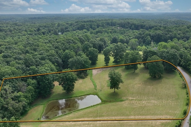 0 Hog Back Ridge Rd, Bethpage, TN 37022 - photo 12