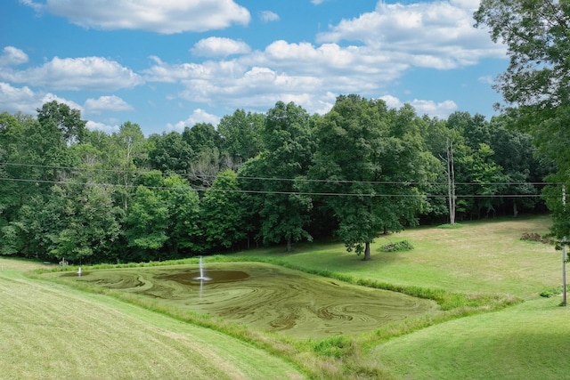 0 Hog Back Ridge Rd, Bethpage, TN 37022 - photo 15