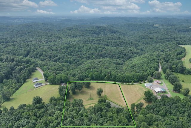 0 Hog Back Ridge Rd, Bethpage, TN 37022 - photo 23
