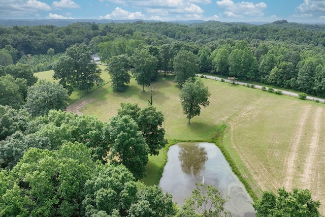 0 Hog Back Ridge Rd, Bethpage, TN 37022 - photo 17