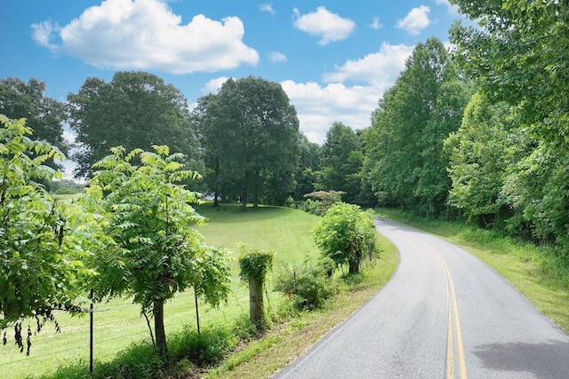 0 Hog Back Ridge Rd, Bethpage, TN 37022 - photo 21