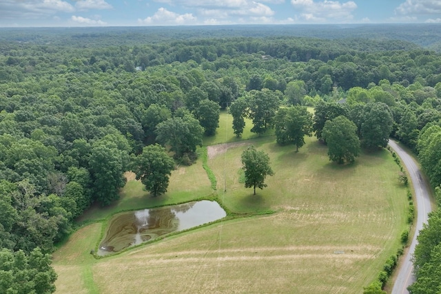 0 Hog Back Ridge Rd, Bethpage, TN 37022 - photo 22