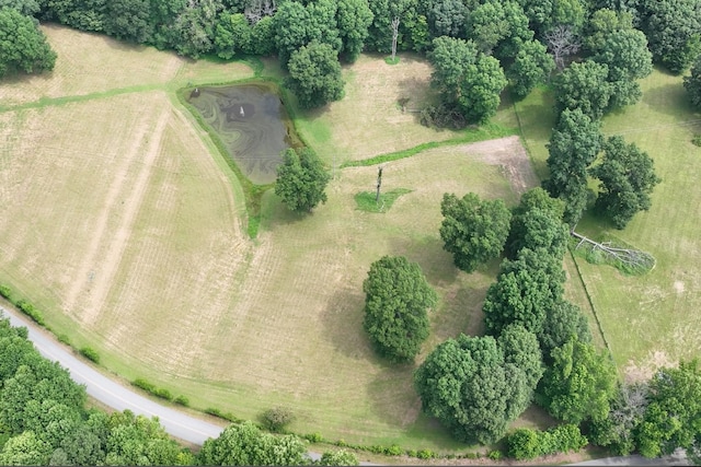 0 Hog Back Ridge Rd, Bethpage, TN 37022 - photo 16