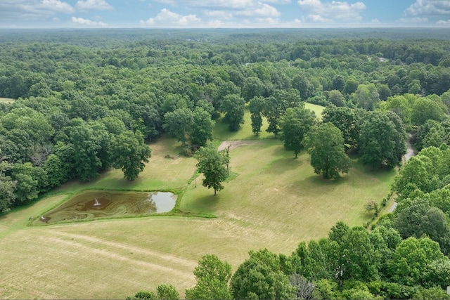 0 Hog Back Ridge Rd, Bethpage, TN 37022 - photo 13