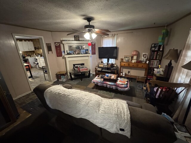 116 N St, Portland, TN 37148 - photo 5