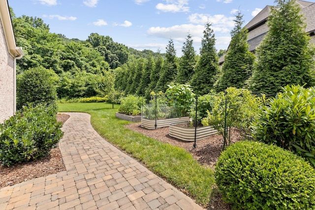 9198 Holstein Dr, Nolensville, TN 37135 - photo 55
