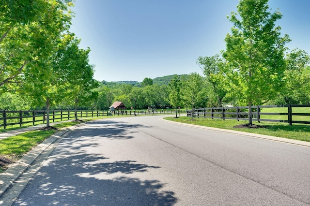 9198 Holstein Dr, Nolensville, TN 37135 - photo 67