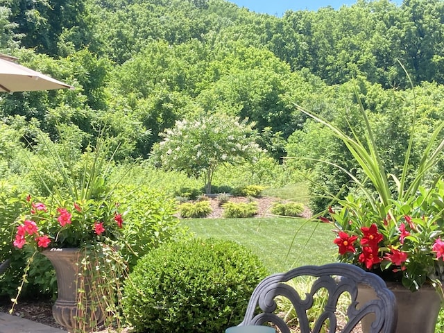 9198 Holstein Dr, Nolensville, TN 37135 - photo 54