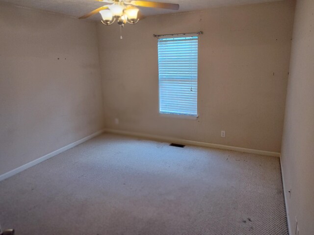3813 Roscommon Way, Clarksville, TN 37040 - photo 9