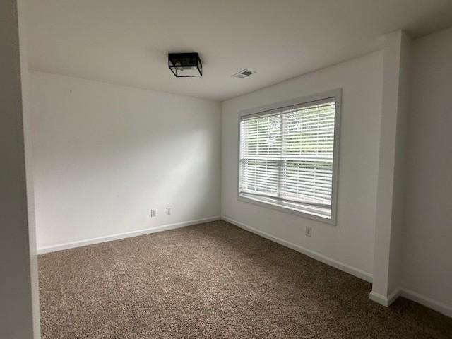1248 Rich Ellen Dr, Palmyra, TN 37142 - empty room with carpet floors