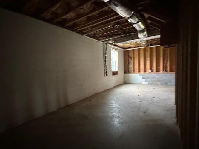 1248 Rich Ellen Dr, Palmyra, TN 37142 - view of basement