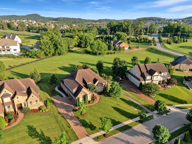 1794 Balvenie Ct, Brentwood, TN 37027 - aerial view of residential area