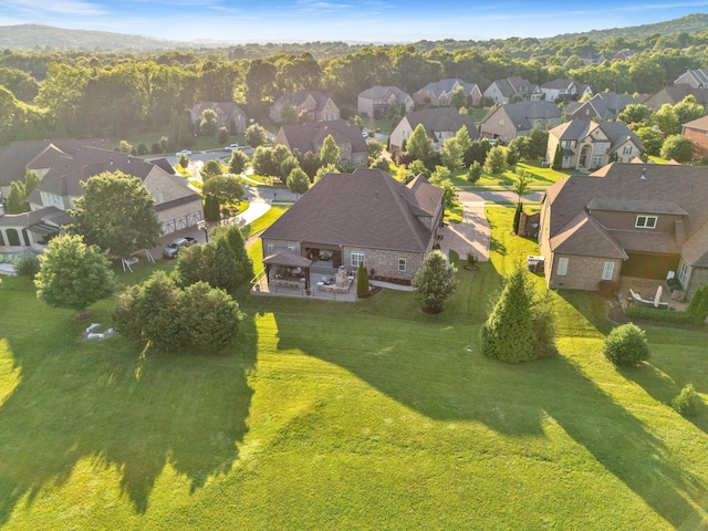 1794 Balvenie Ct, Brentwood, TN 37027 - aerial view of residential area