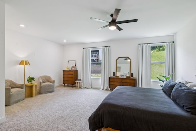 5517 Dana Ln, Franklin, TN 37064 - photo 22