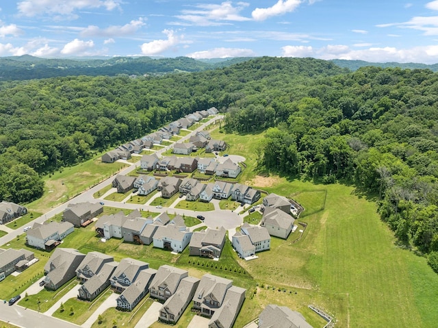 5517 Dana Ln, Franklin, TN 37064 - photo 46