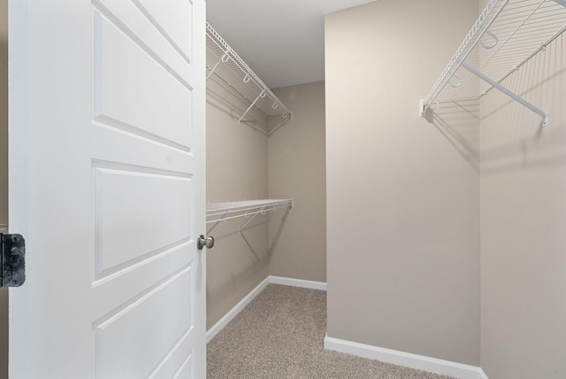 1530 Fredrick Dr, Clarksville, TN 37042 - photo 22
