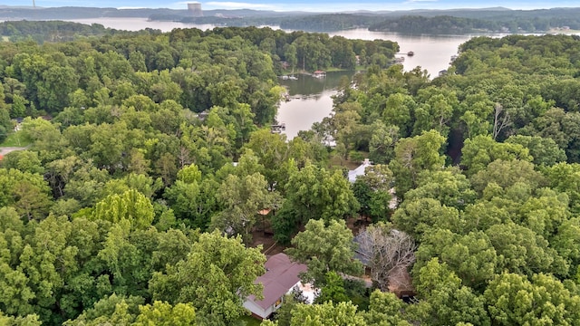 5920 Dogwood Dr, Harrison, TN 37341 - bird's eye view of a nearby body of water