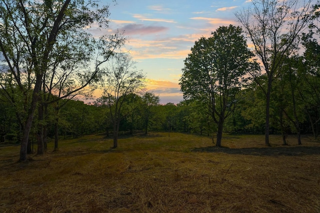 406 Cummings Ln, Gallatin, TN 37066 - photo 14