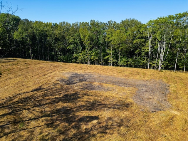406 Cummings Ln, Gallatin, TN 37066 - photo 7