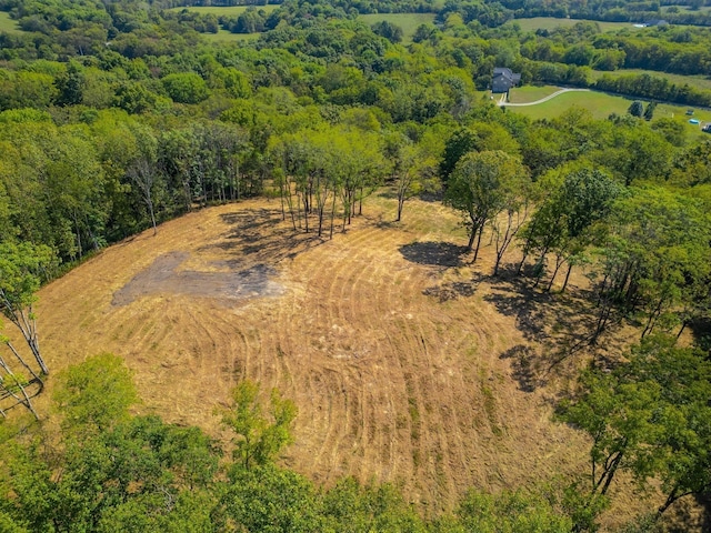 406 Cummings Ln, Gallatin, TN 37066 - photo 5