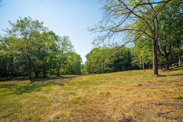 406 Cummings Ln, Gallatin, TN 37066 - photo 1