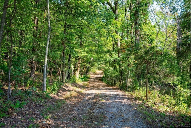 406 Cummings Ln, Gallatin, TN 37066 - photo 9