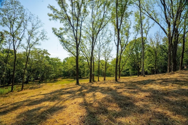 406 Cummings Ln, Gallatin, TN 37066 - photo 8