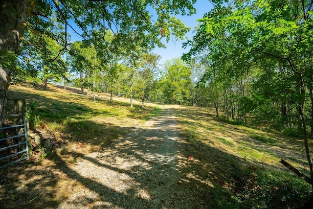 406 Cummings Ln, Gallatin, TN 37066 - photo 10