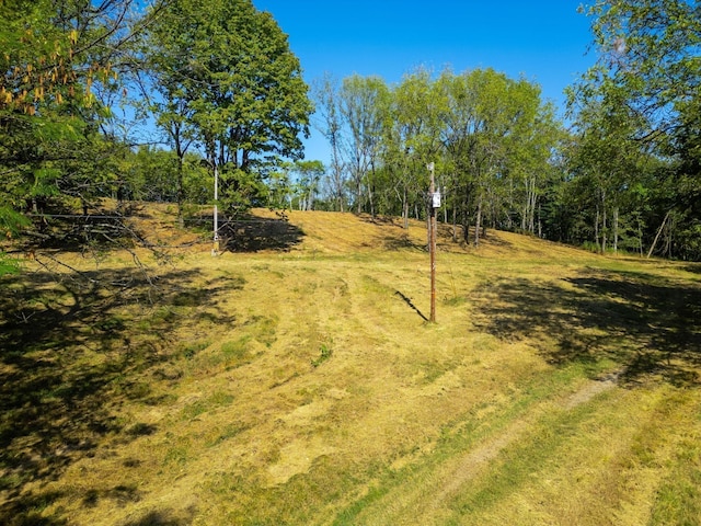406 Cummings Ln, Gallatin, TN 37066 - photo 6