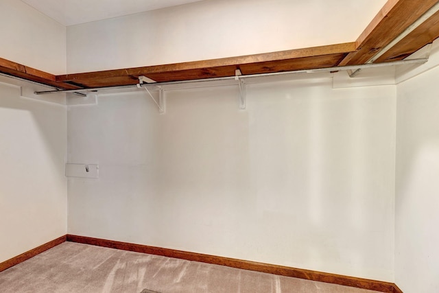 5122 Prince Phillip Cv, Brentwood, TN 37027 - walk in closet featuring light carpet