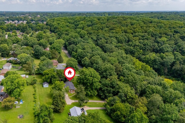 332 Old Dunbar Cave Rd, Clarksville, TN 37043 - drone / aerial view of a forest