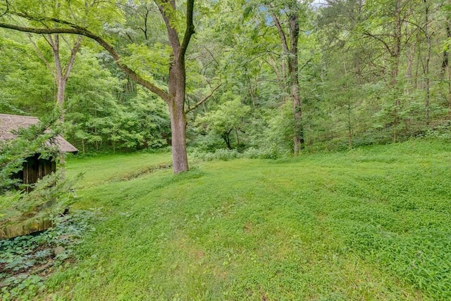 11901 Martin Creek Rd, Bloomington Springs, TN 38545 - photo 26