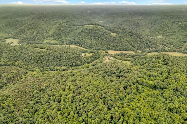 11901 Martin Creek Rd, Bloomington Springs, TN 38545 - photo 36