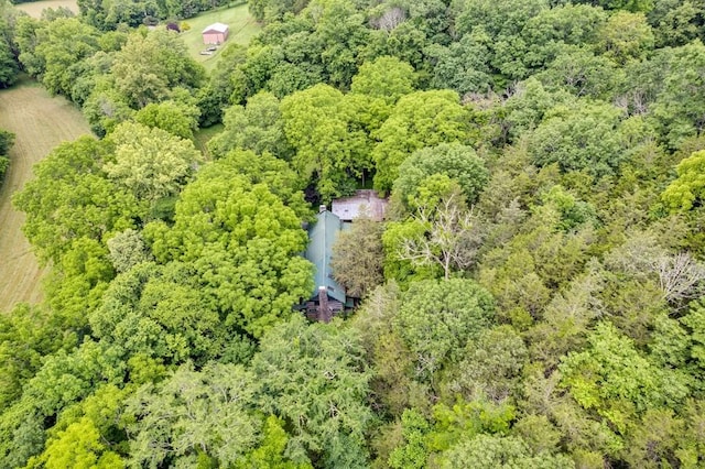 11901 Martin Creek Rd, Bloomington Springs, TN 38545 - photo 40