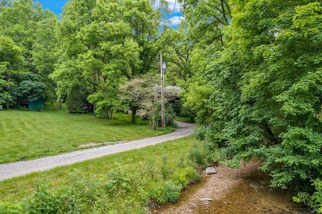 11901 Martin Creek Rd, Bloomington Springs, TN 38545 - photo 39