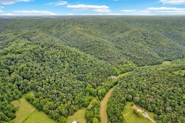 11901 Martin Creek Rd, Bloomington Springs, TN 38545 - photo 33