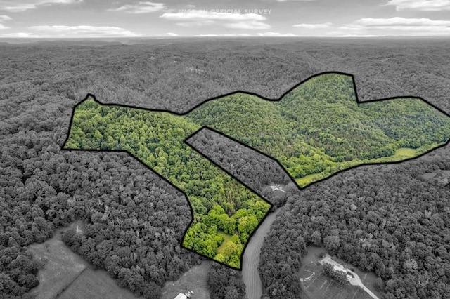 11901 Martin Creek Rd, Bloomington Springs, TN 38545 - photo 41